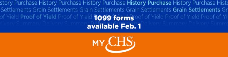 1099 forms available Feb. 1 on MyCHS