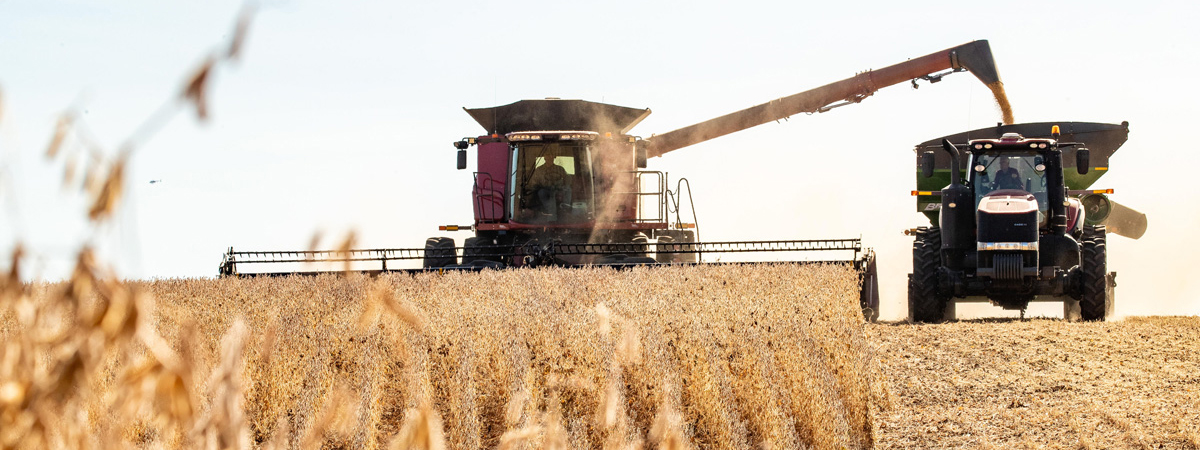 Combine harvesting a wheat field