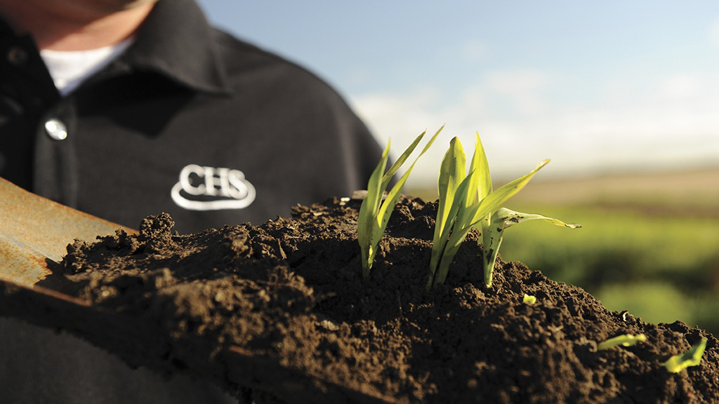 Man holding a trowel with seedlings growing out of soil