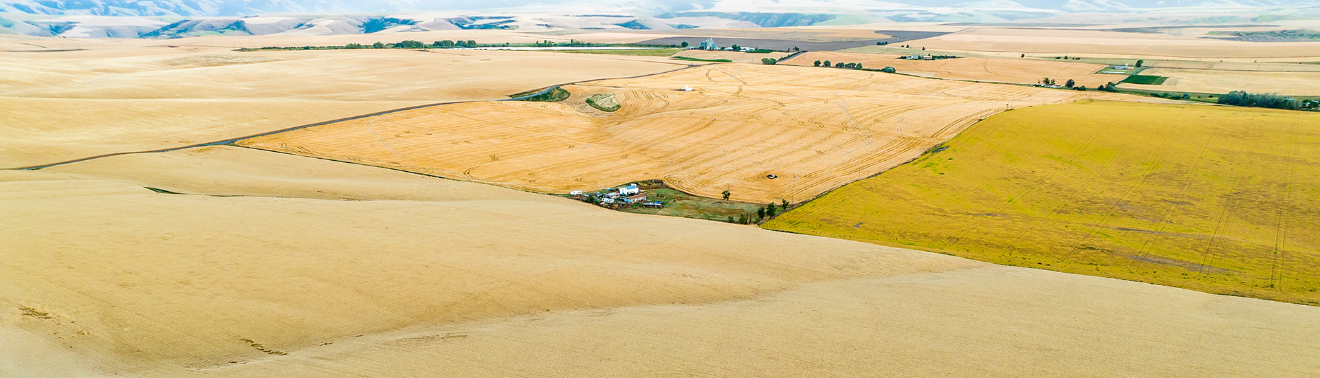 Aerial view of fields in Idaho
