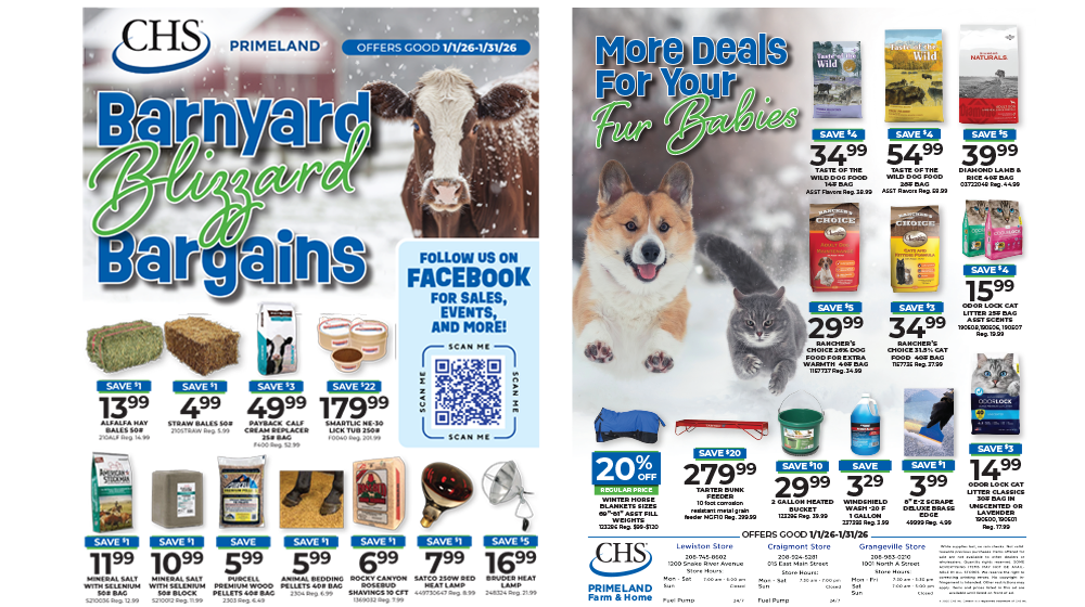 Barnyard Blizzard Bargains sale